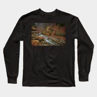 River in the mountains Long Sleeve T-Shirt